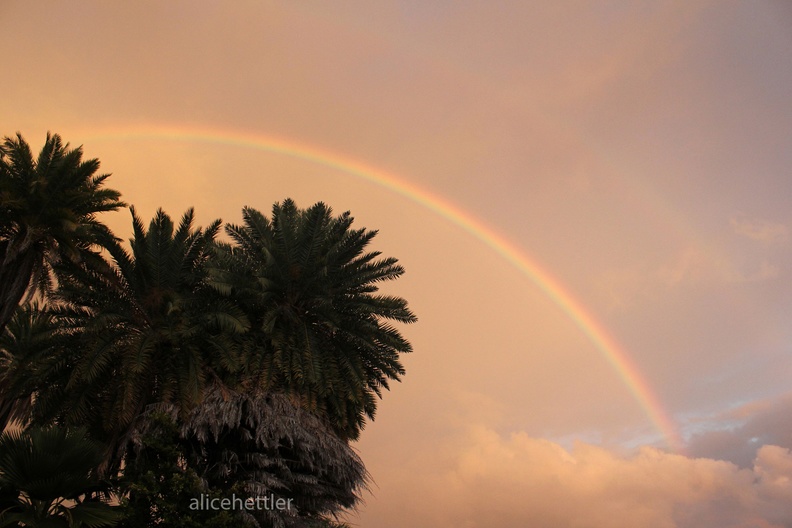 Oahu Rainbow.jpg